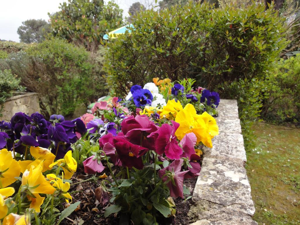Holiday home Des Gardettes Saint-Paul-de-Vence